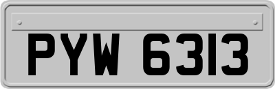 PYW6313