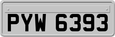 PYW6393