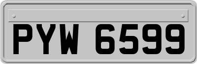 PYW6599