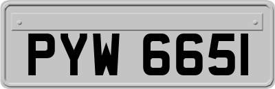 PYW6651