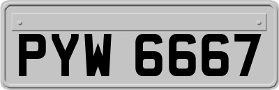 PYW6667