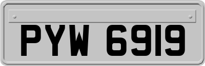 PYW6919