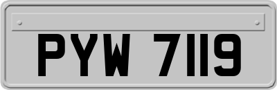 PYW7119