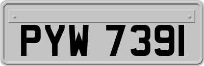 PYW7391