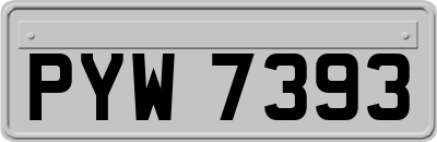 PYW7393