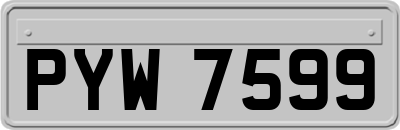 PYW7599