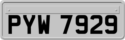 PYW7929