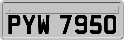 PYW7950
