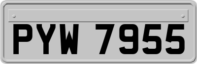 PYW7955