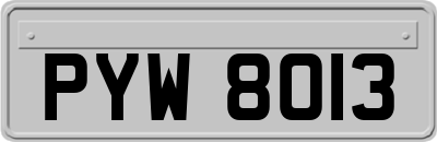 PYW8013