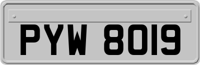 PYW8019