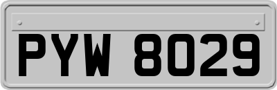 PYW8029