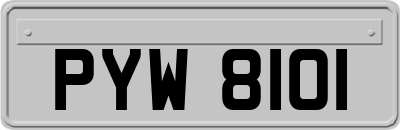 PYW8101