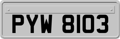 PYW8103