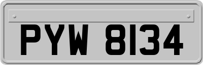 PYW8134