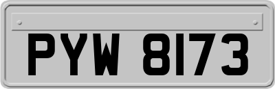 PYW8173