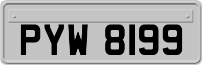 PYW8199