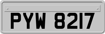 PYW8217