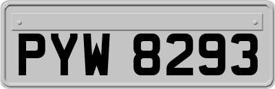 PYW8293