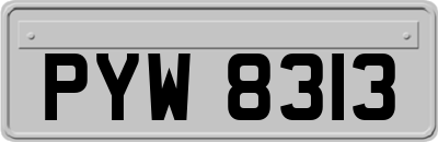 PYW8313