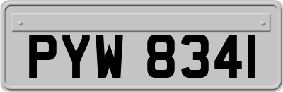 PYW8341