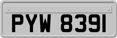 PYW8391