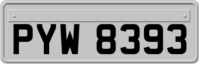 PYW8393