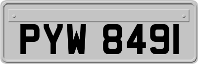 PYW8491