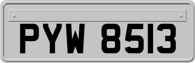 PYW8513