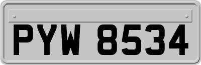 PYW8534