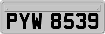 PYW8539