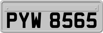 PYW8565