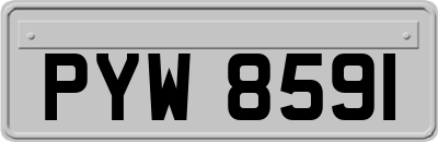 PYW8591