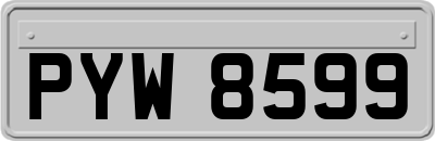 PYW8599