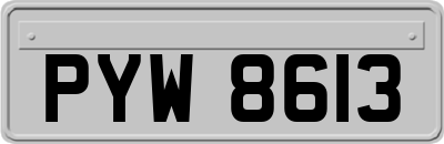 PYW8613