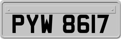 PYW8617