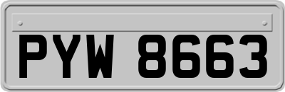 PYW8663