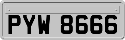 PYW8666