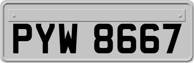 PYW8667