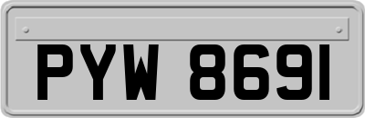 PYW8691