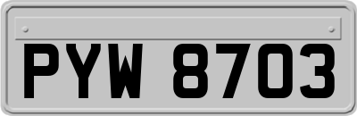 PYW8703