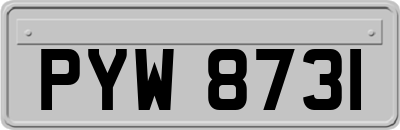 PYW8731