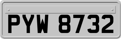 PYW8732