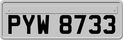 PYW8733