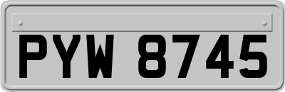 PYW8745