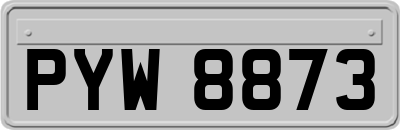 PYW8873