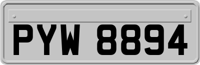 PYW8894