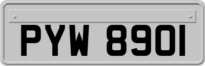 PYW8901