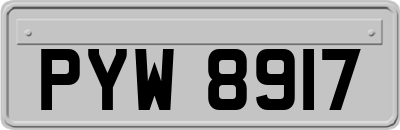 PYW8917