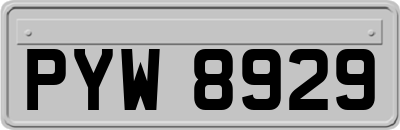 PYW8929